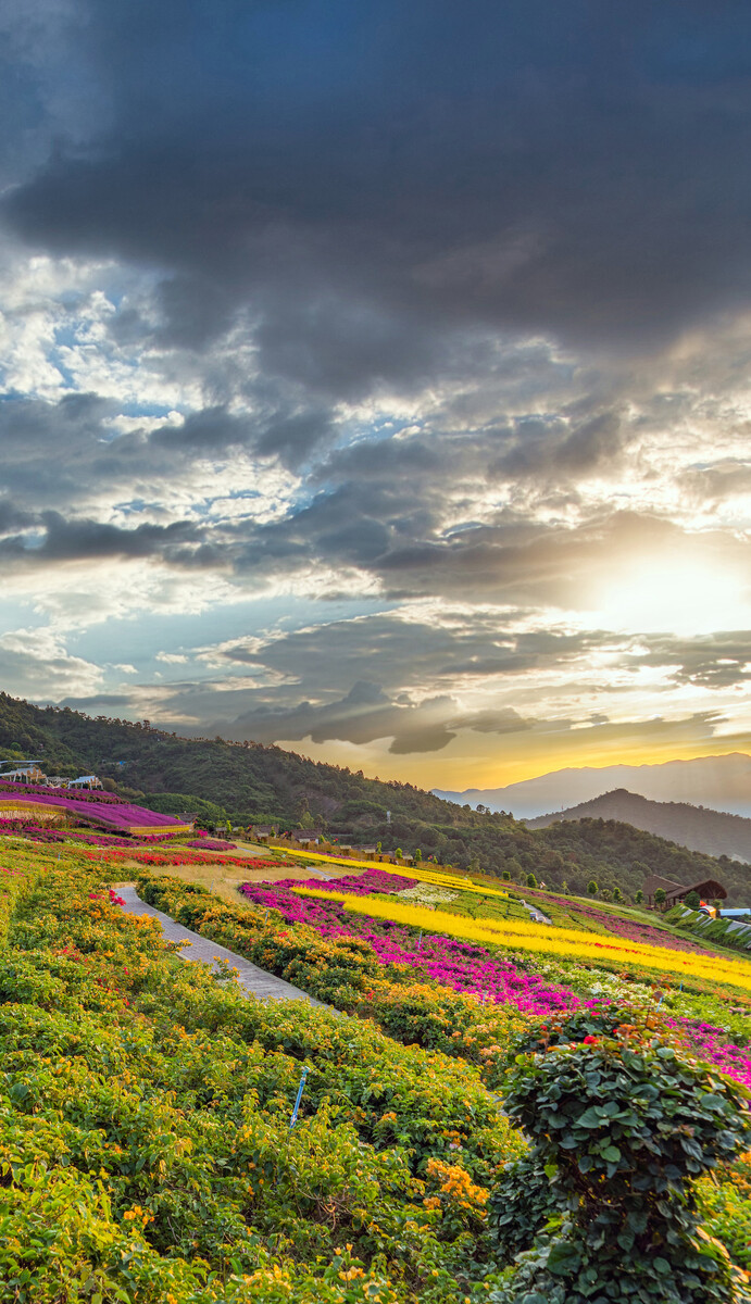 深圳,攀枝花,城市建筑,景觀風(fēng)光。