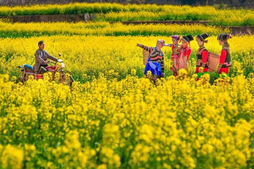 嘿 攀枝花 這些情話我想對(duì)你說(shuō)上一百遍