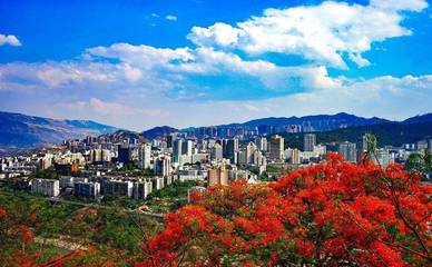 你一定想不到,過(guò)去這半年空氣質(zhì)量?jī)?yōu)良率排第一的是一座鋼城