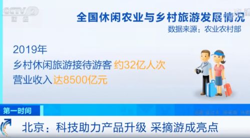 科技助力產(chǎn)品升級(jí)，信息技術(shù)咨詢服務(wù)驅(qū)動(dòng)采摘游成新亮點(diǎn)